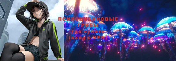 сатива Алзамай