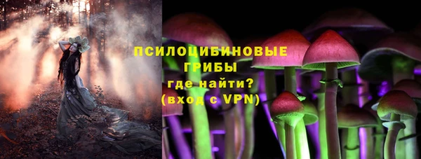 apvp Алексеевка