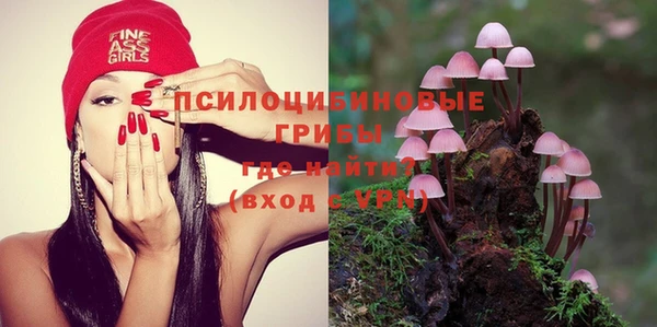 героин Алексин
