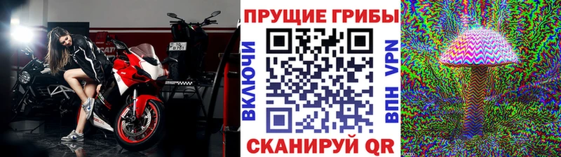 Галлюциногенные грибы мицелий  Курск 