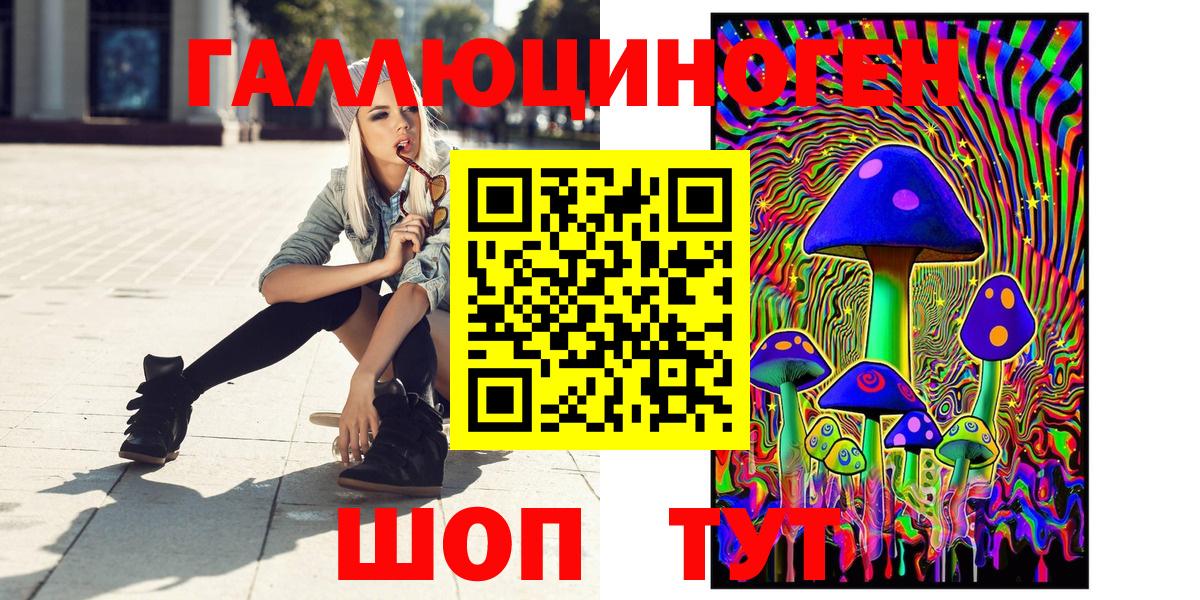 Галлюциногенные грибы Psilocybe Курск