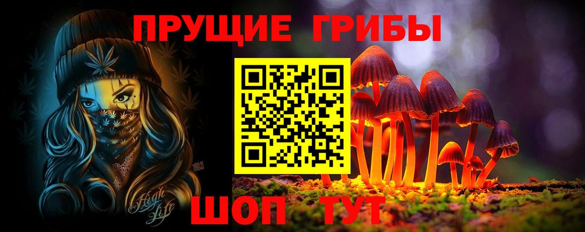 Курск  Псилоцибиновые грибы Psilocybine cubensis  Псилоцибиновые грибы прущие грибы  Вход с VPN 