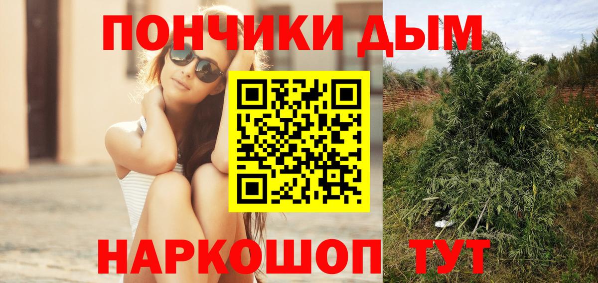 Конопля планчик  Вход с VPN  Канабис сатива  МАРИХУАНА план  Курск 